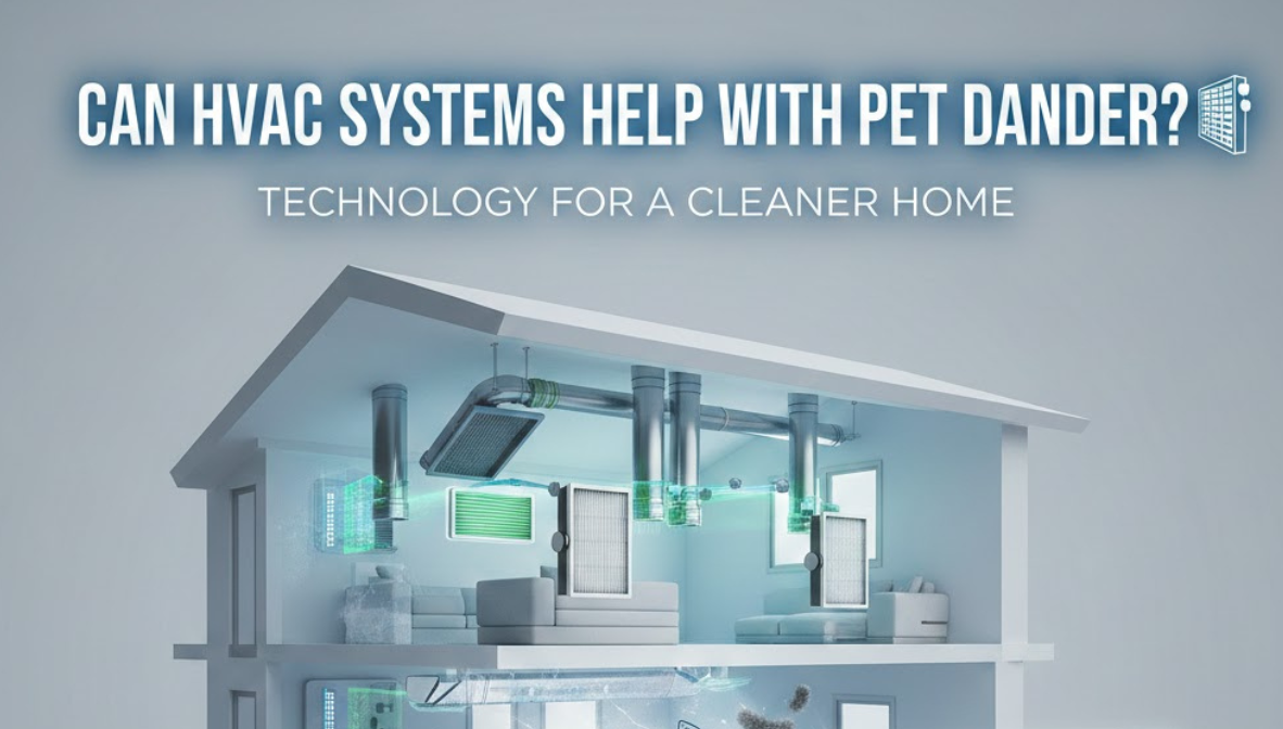 Can HVAC Systems Help With Pet Dander?